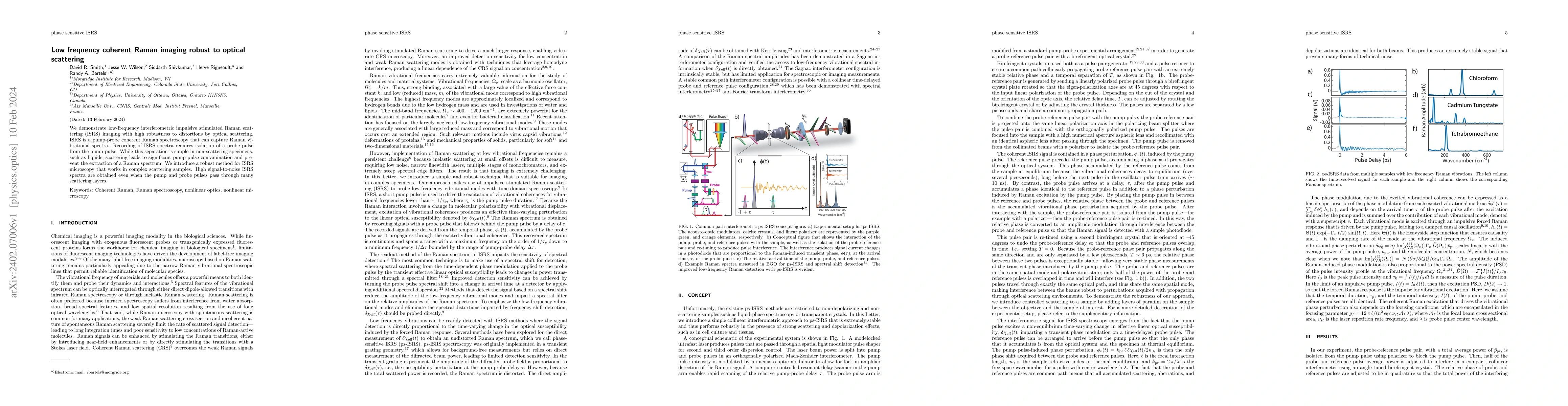 Thumbnail for Low frequency coherent Raman imaging robust to optical scattering