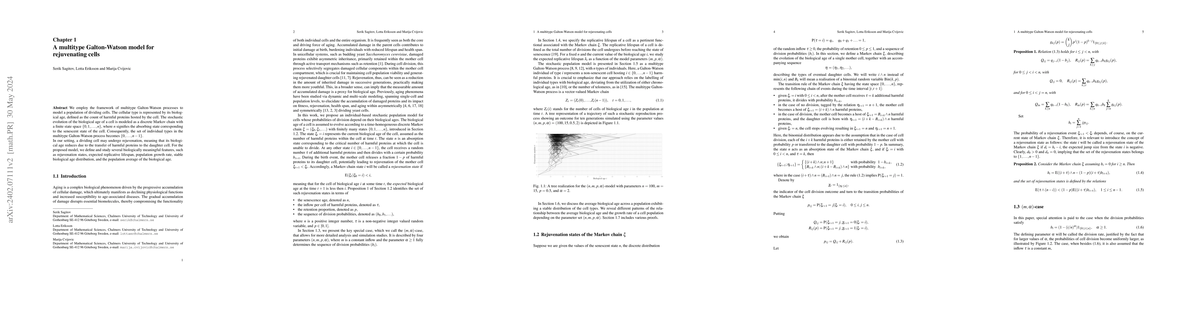 Thumbnail for A multitype Galton-Watson model for rejuvenating cells