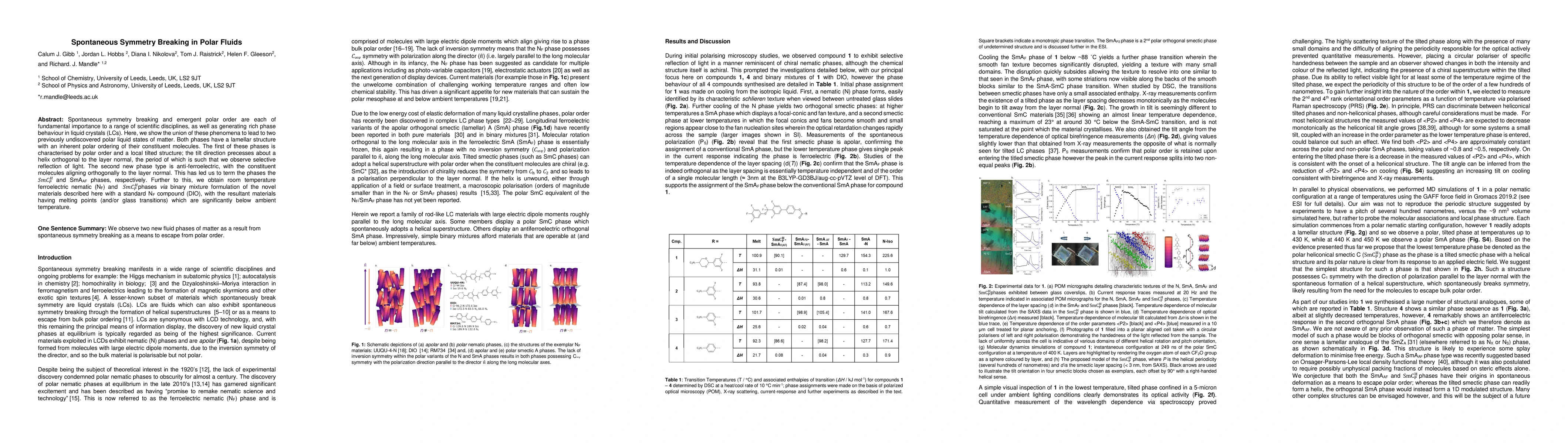 Thumbnail for Spontaneous Symmetry Breaking in Polar Fluids