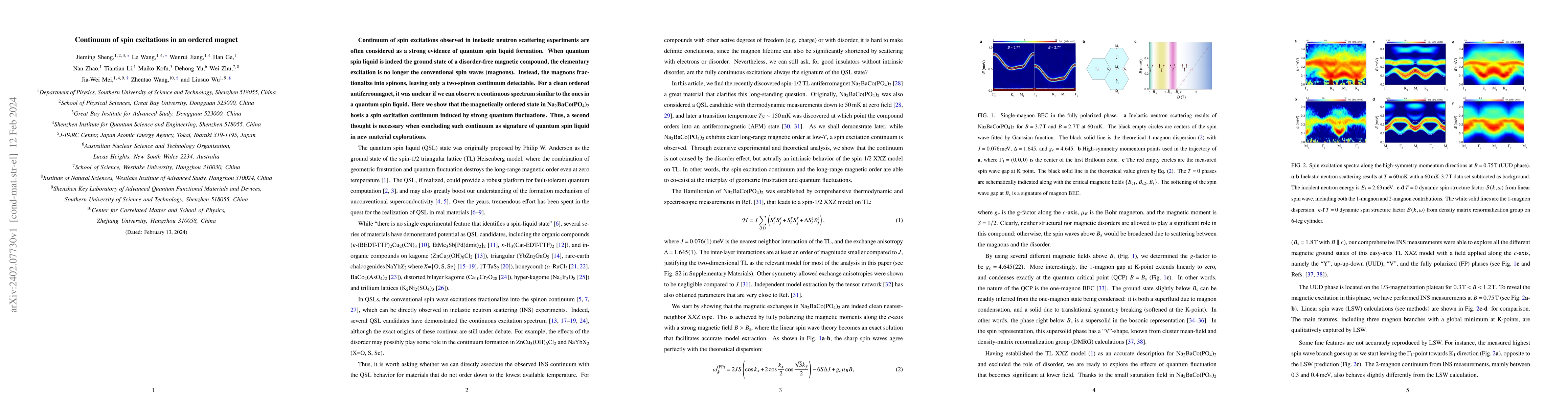 Thumbnail for Continuum of spin excitations in an ordered magnet