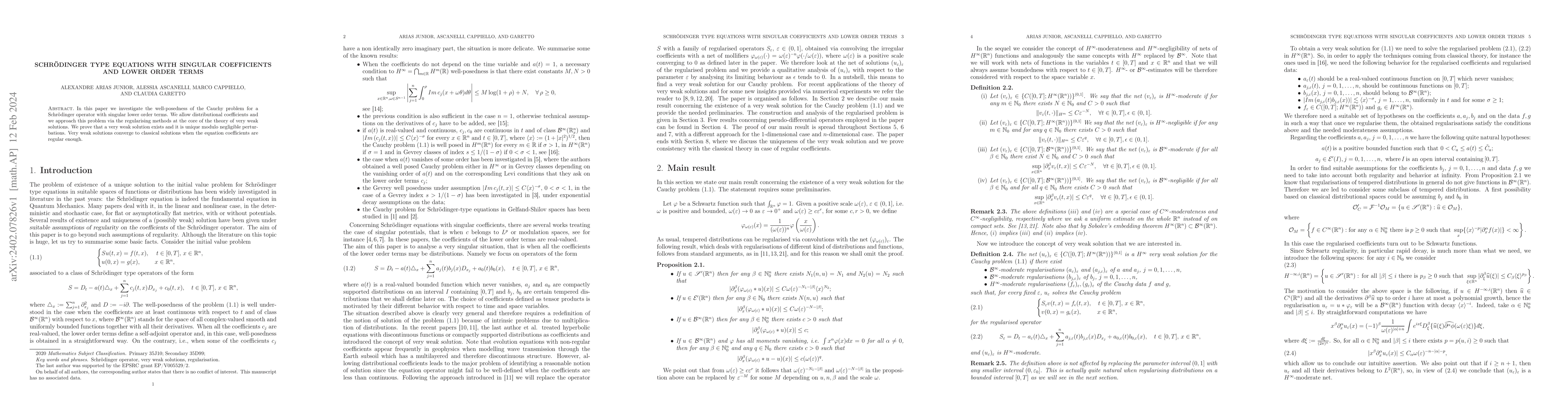Thumbnail for Schr\"odinger type equations with singular coefficients and lower order
  terms