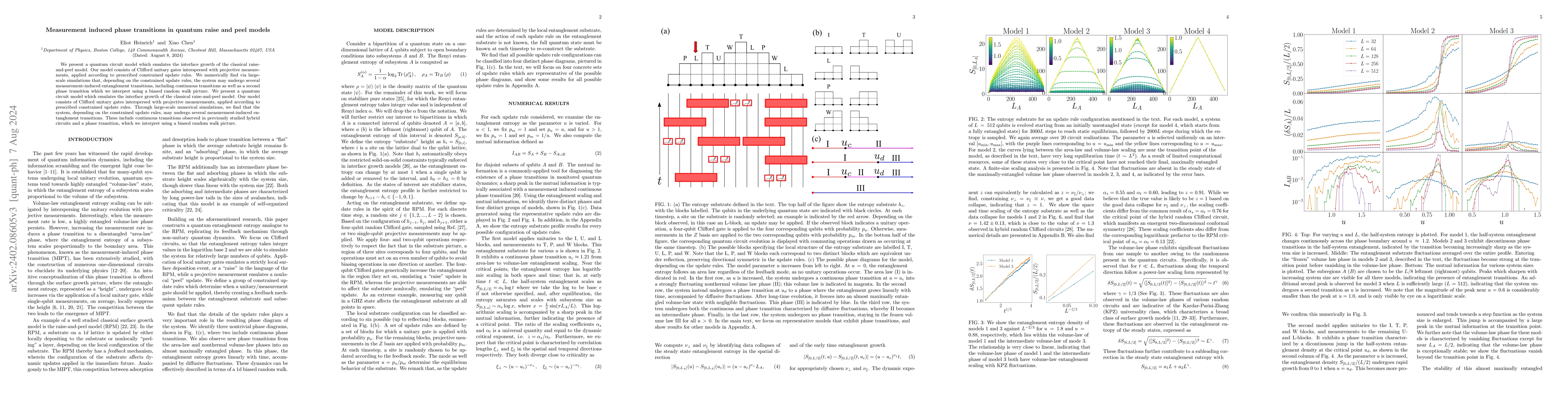 Thumbnail for Measurement induced phase transitions in quantum raise and peel models