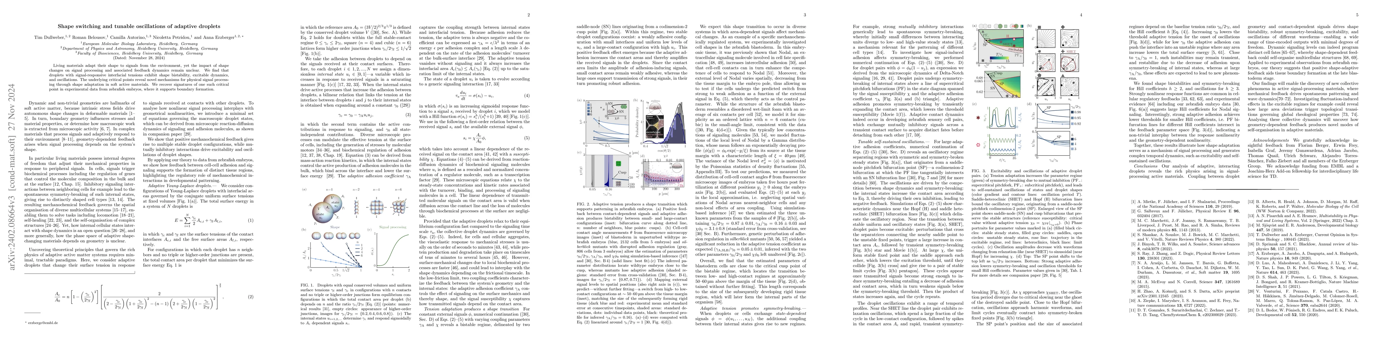 Thumbnail for Tunable Shape Oscillations of Adaptive Droplets