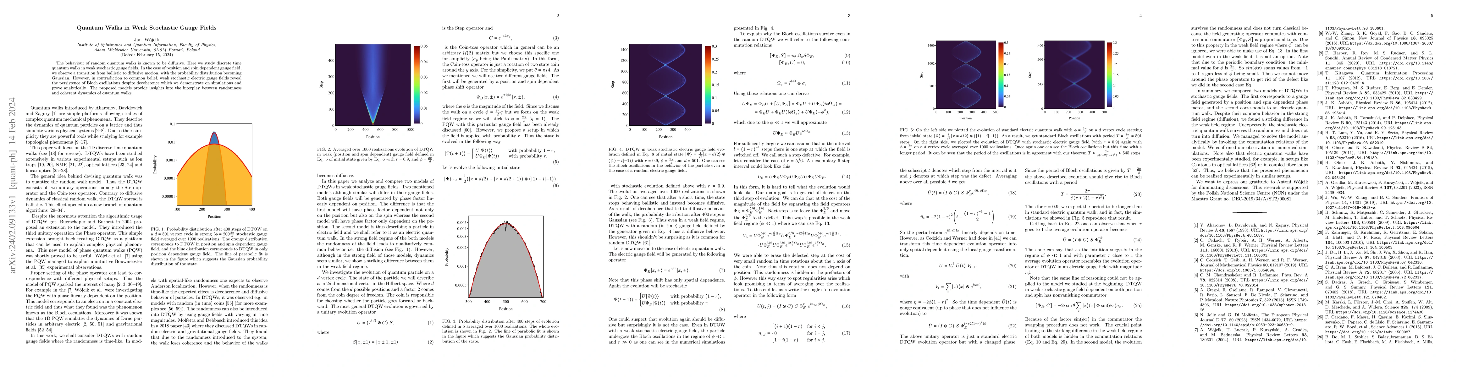 Thumbnail for Quantum Walks in Weak Stochastic Gauge Fields