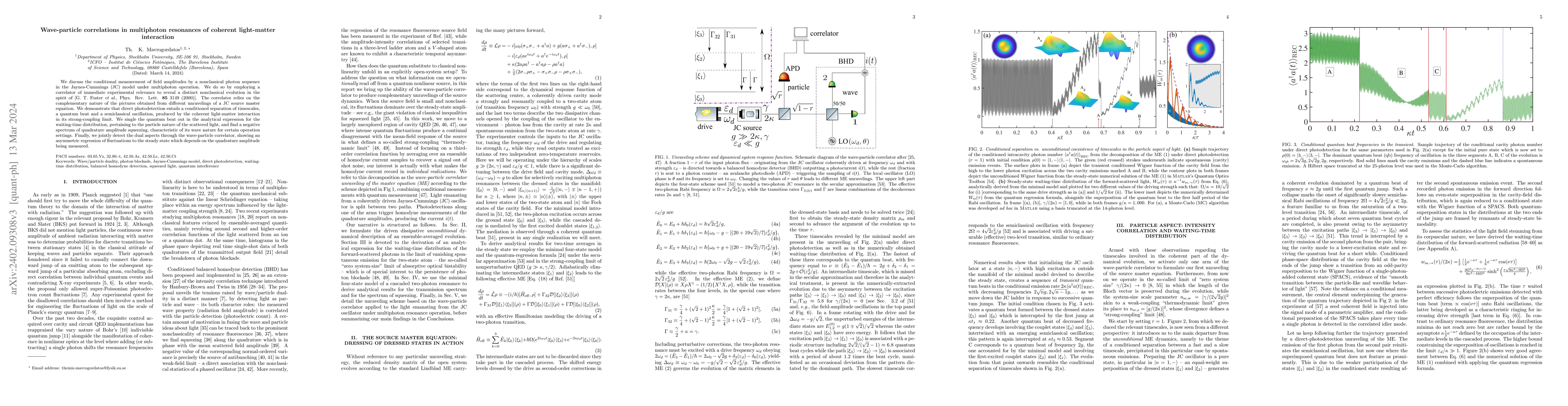 Thumbnail for Wave-particle correlations in multiphoton resonances of coherent
  light-matter interaction