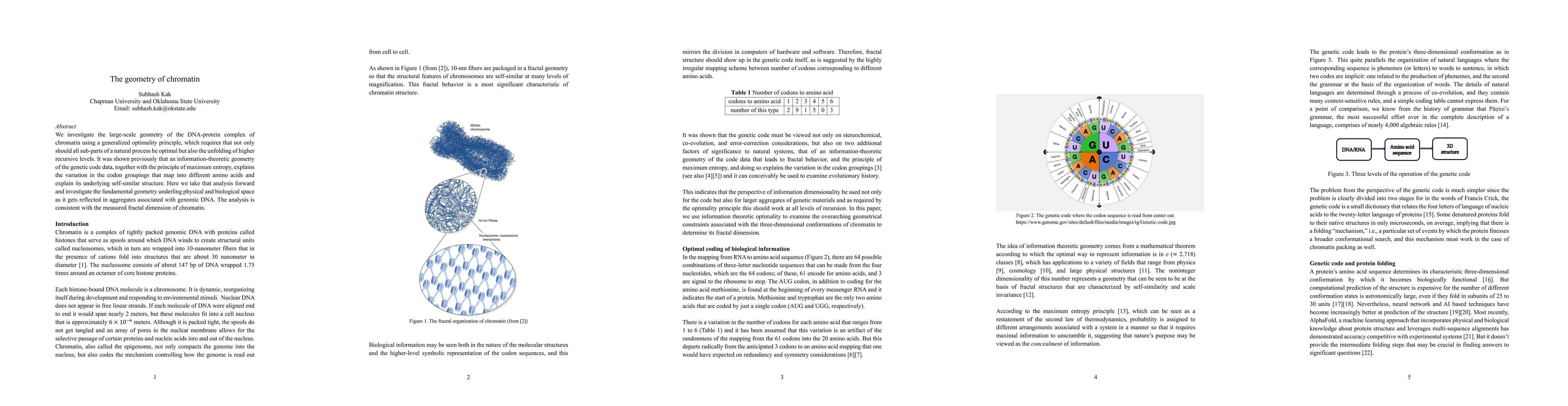 Thumbnail for The geometry of chromatin
