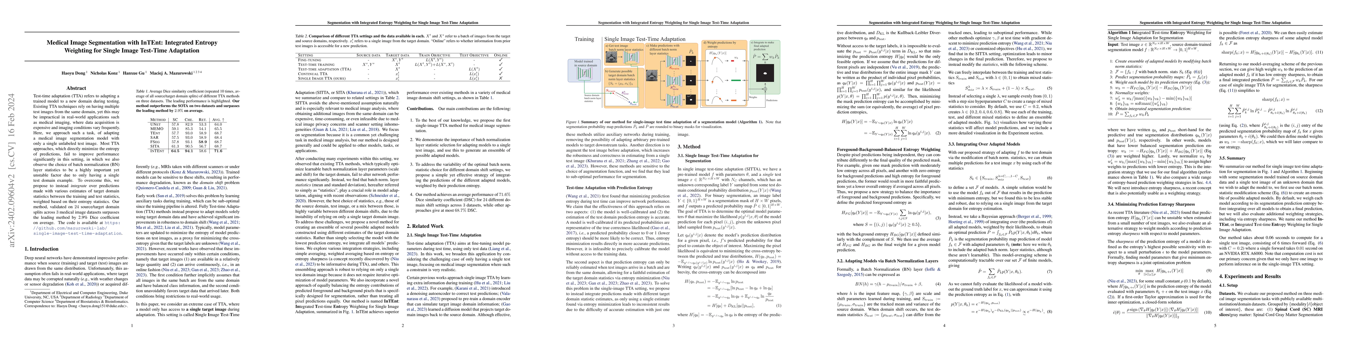 Thumbnail for Medical Image Segmentation with InTEnt: Integrated Entropy Weighting for
  Single Image Test-Time Adaptation