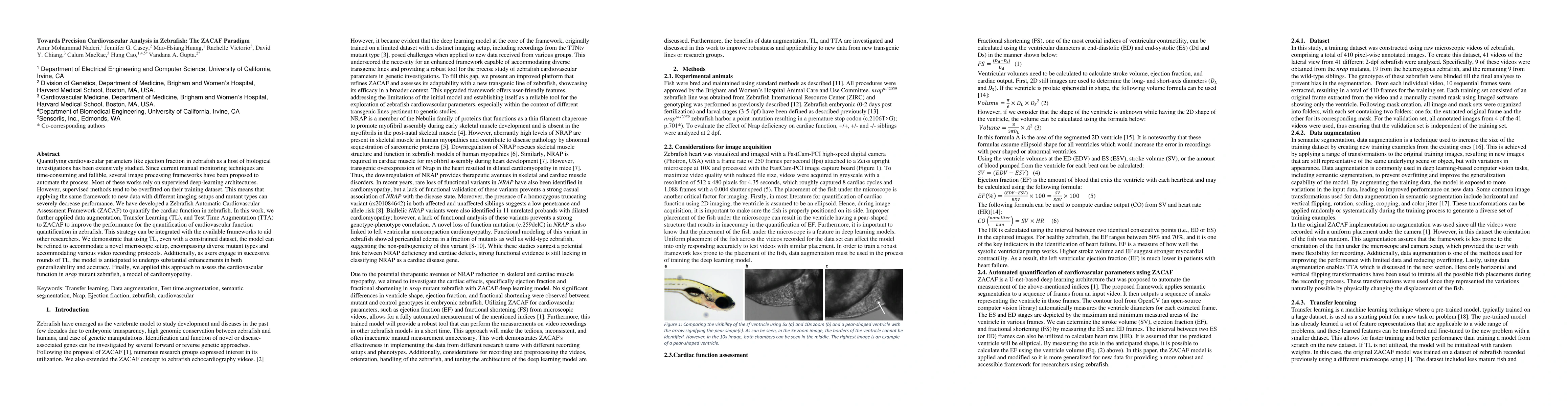 Thumbnail for Towards Precision Cardiovascular Analysis in Zebrafish: The ZACAF
  Paradigm