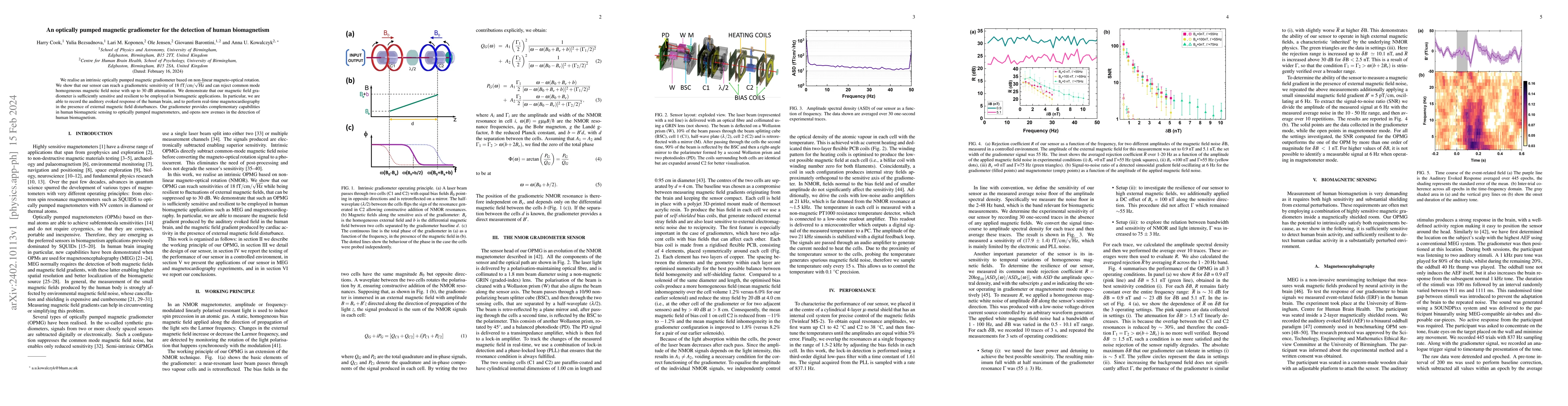 Thumbnail for An optically pumped magnetic gradiometer for the detection of human
  biomagnetism