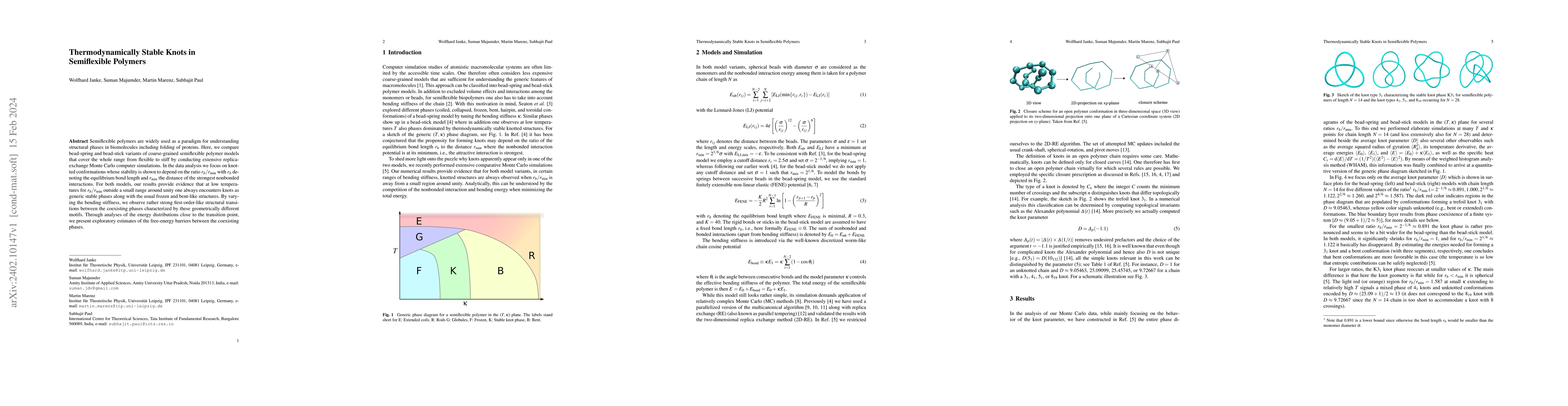 Thumbnail for Thermodynamically Stable Knots in Semiflexible Polymers