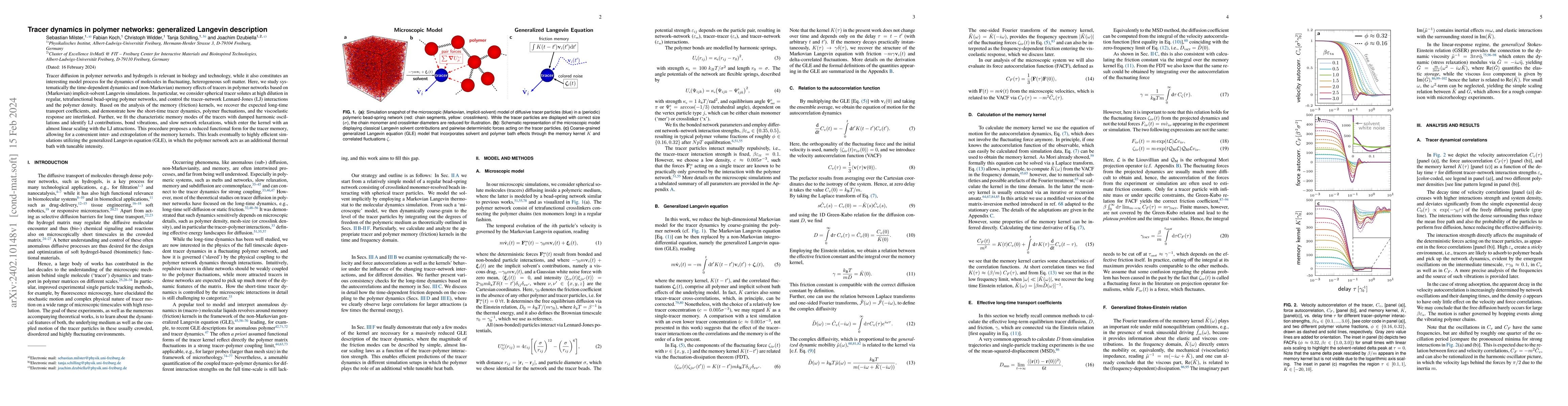Thumbnail for Tracer dynamics in polymer networks: generalized Langevin description