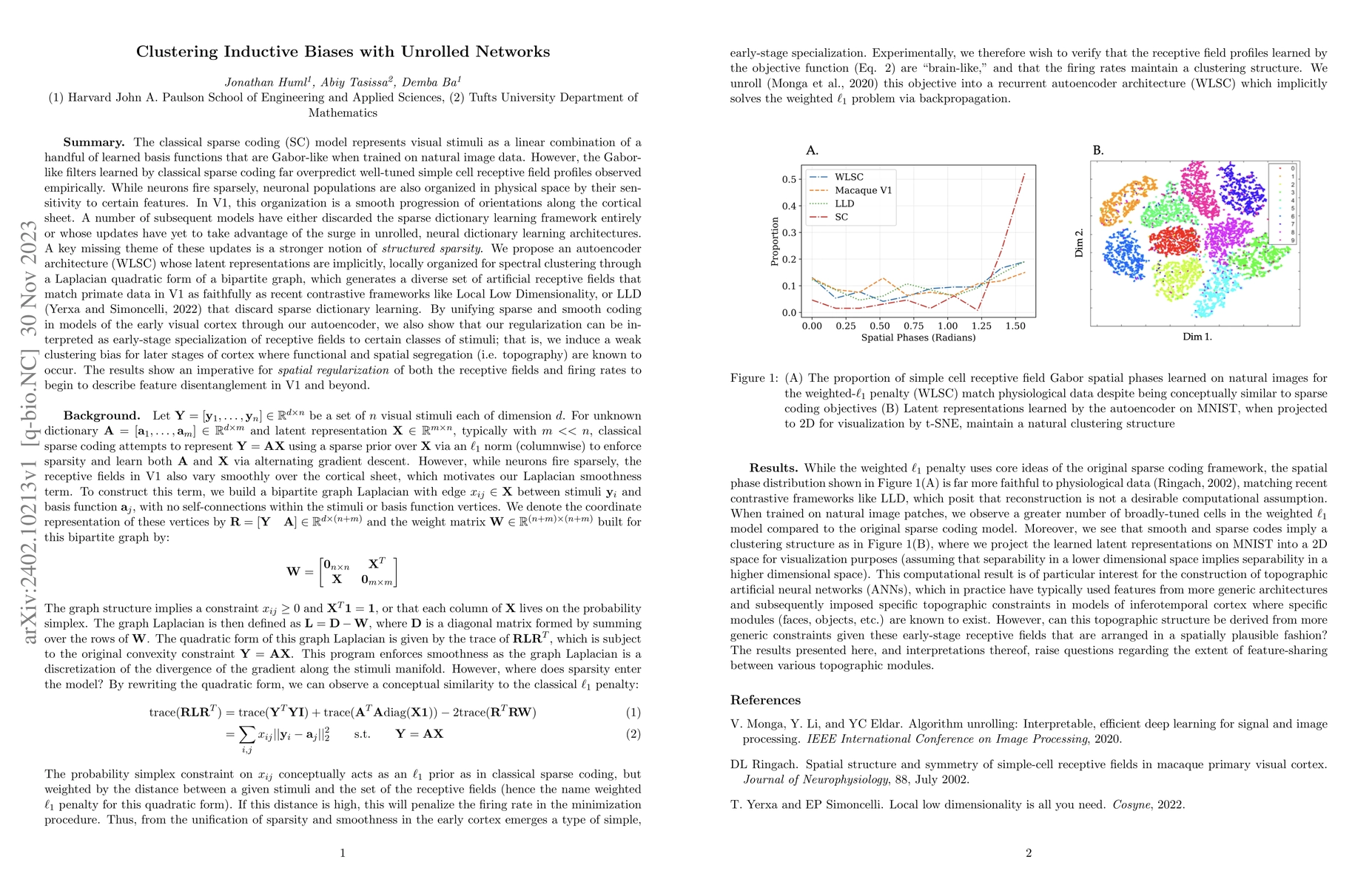 Thumbnail for Clustering Inductive Biases with Unrolled Networks
