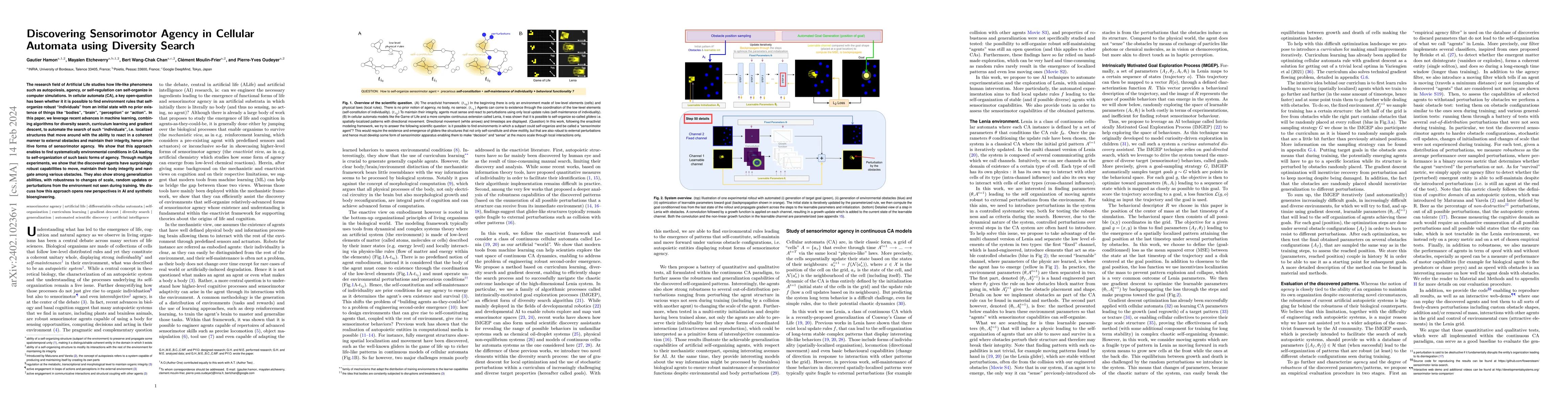 Thumbnail for Discovering Sensorimotor Agency in Cellular Automata using Diversity
  Search