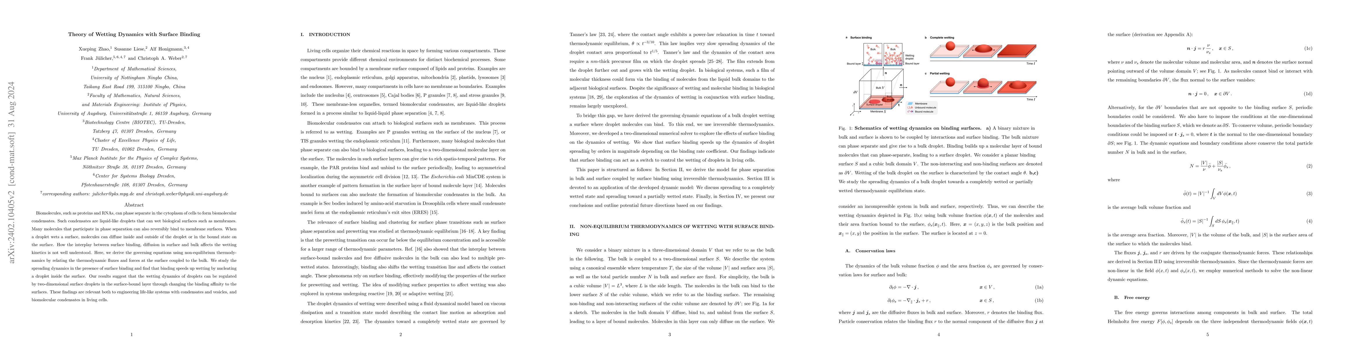 Thumbnail for Theory of Wetting Dynamics with Surface Binding