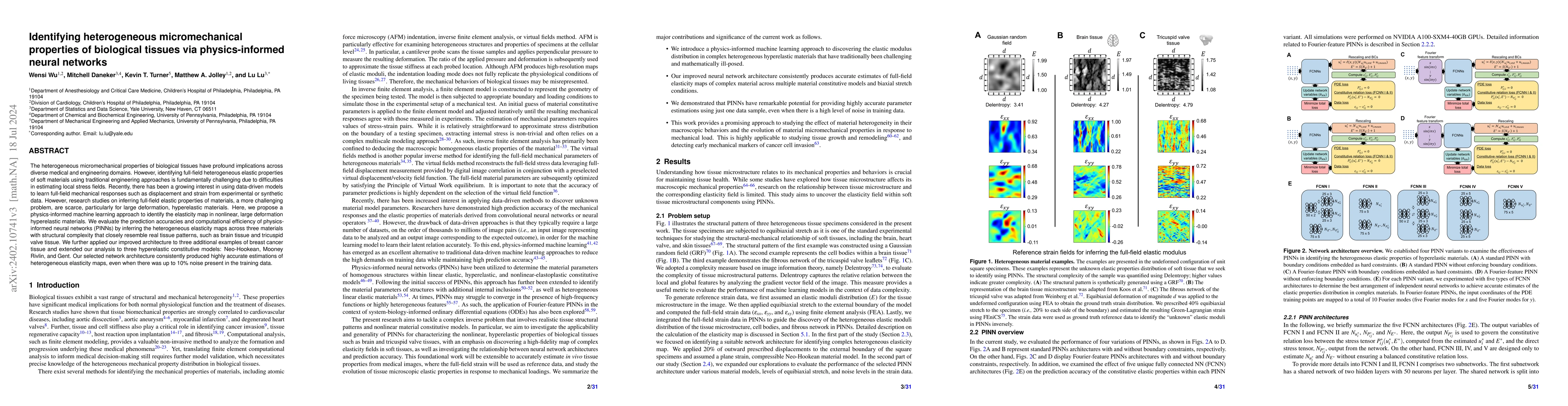 Thumbnail for Identifying heterogeneous micromechanical properties of biological
  tissues via physics-informed neural networks