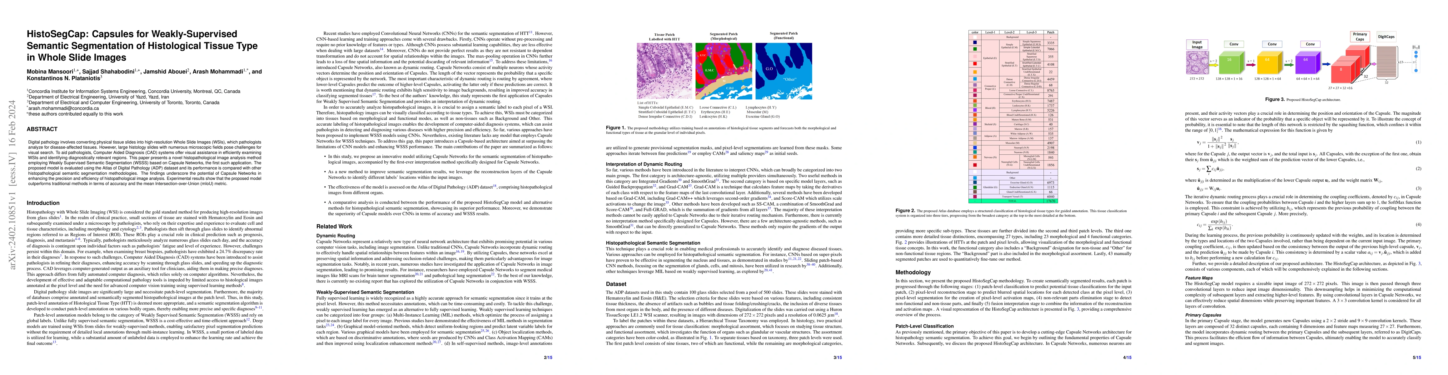 Thumbnail for HistoSegCap: Capsules for Weakly-Supervised Semantic Segmentation of
  Histological Tissue Type in Whole Slide Images
