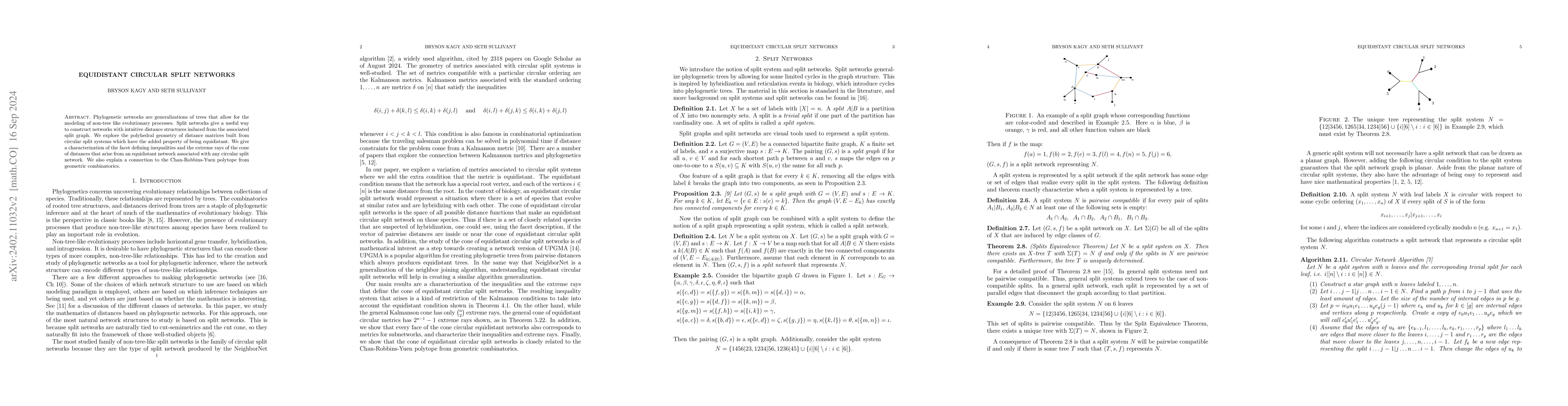Thumbnail for Equidistant Circular Split Networks