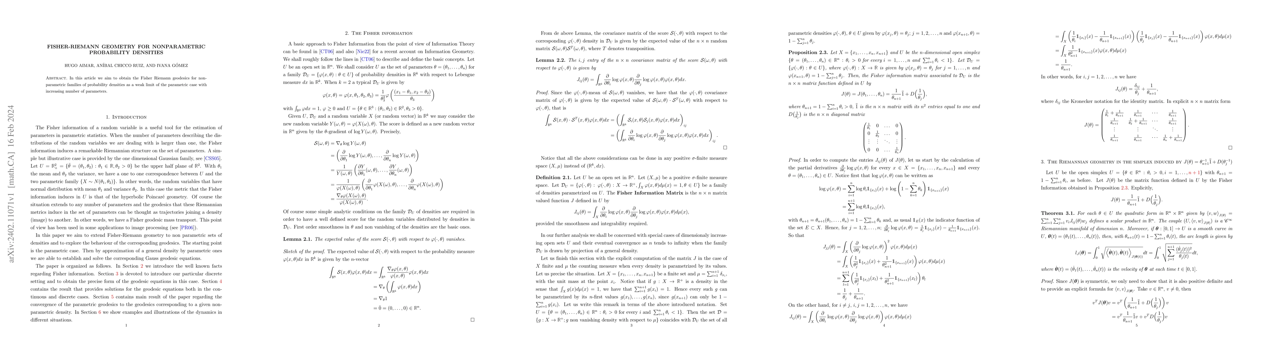 Thumbnail for Fisher-Riemann geometry for nonparametric probability densities