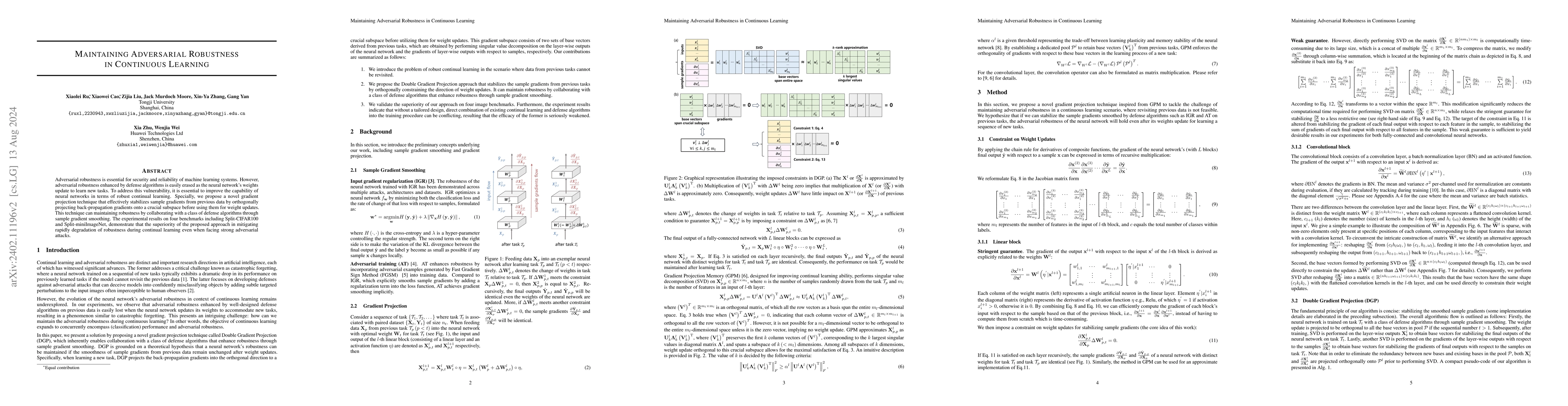 Thumbnail for Maintaining Adversarial Robustness in Continuous Learning
