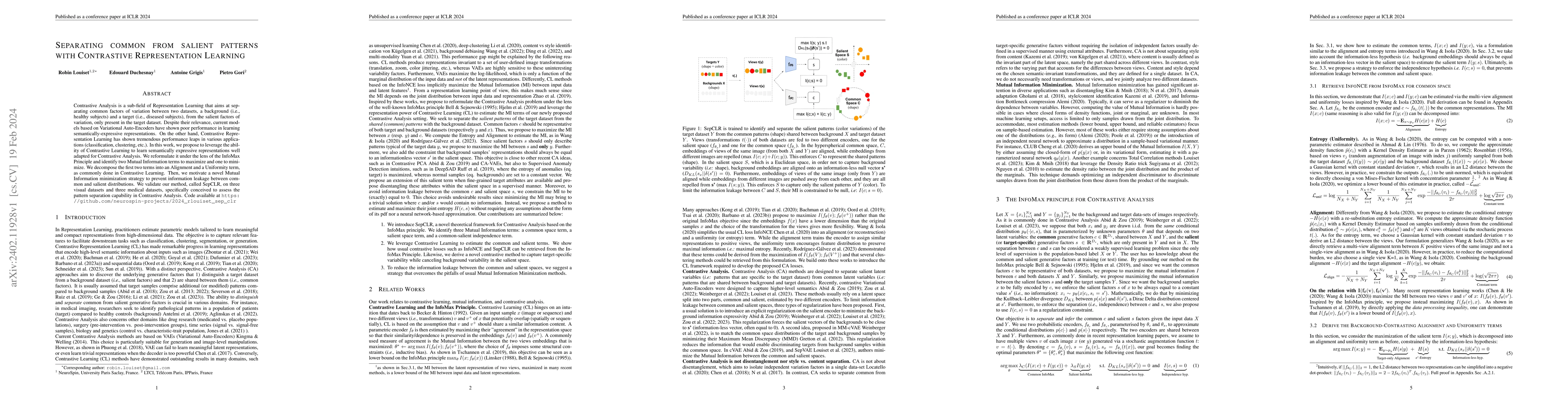 Thumbnail for Separating common from salient patterns with Contrastive Representation
  Learning