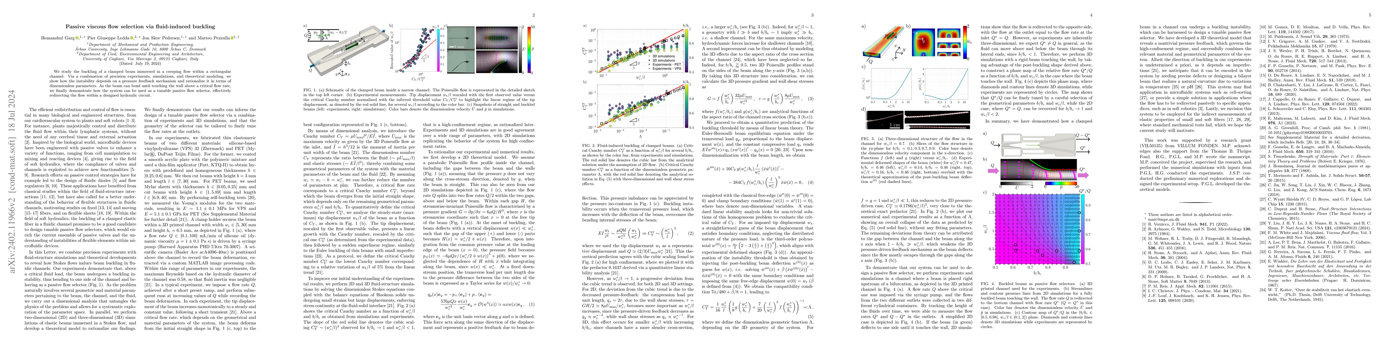 Thumbnail for Passive viscous flow selection via fluid-induced buckling