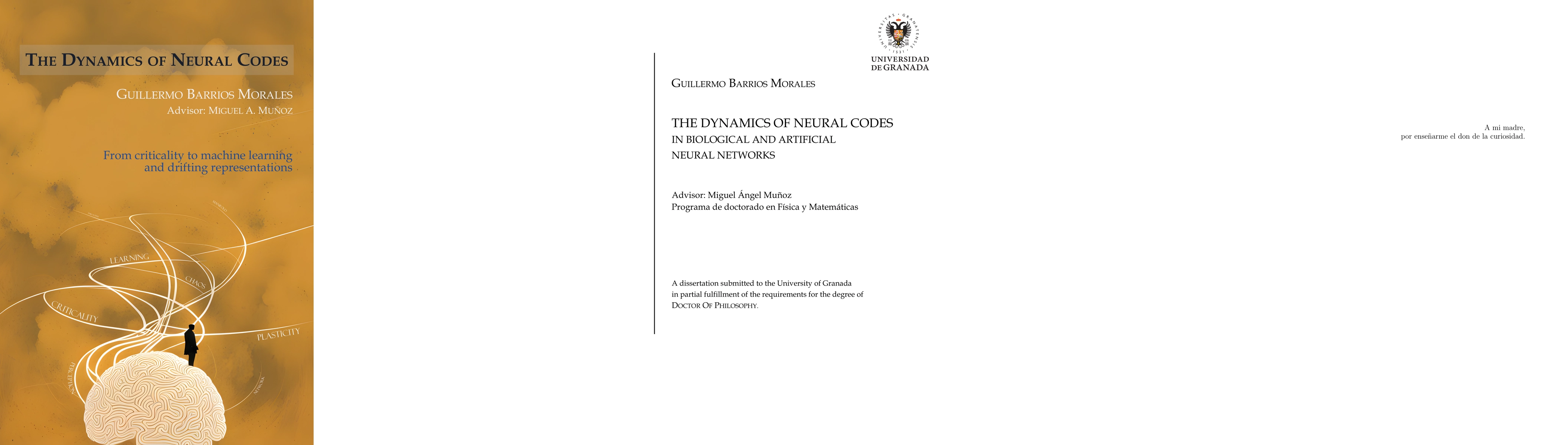 Thumbnail for The dynamics of neural codes in biological and artificial neural
  networks