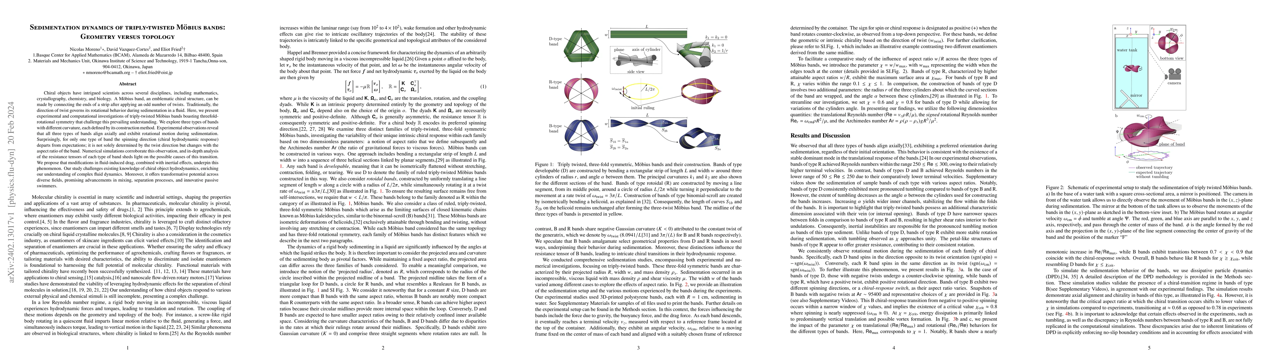 Thumbnail for Sedimentation dynamics of triply-twisted M\"obius bands: Geometry versus
  topology