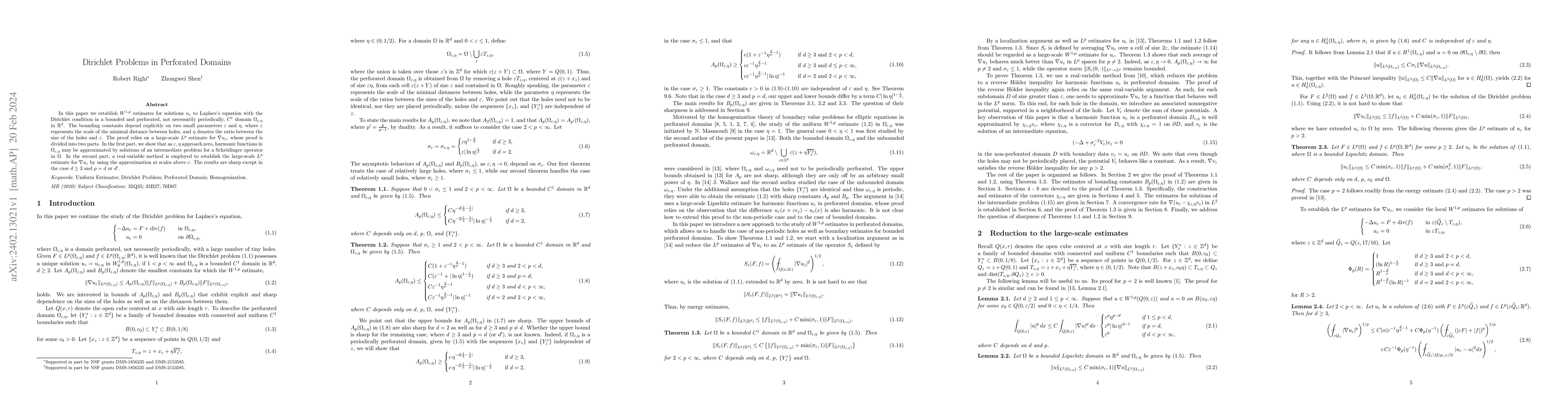 Thumbnail for Dirichlet Problems in Perforated Domains