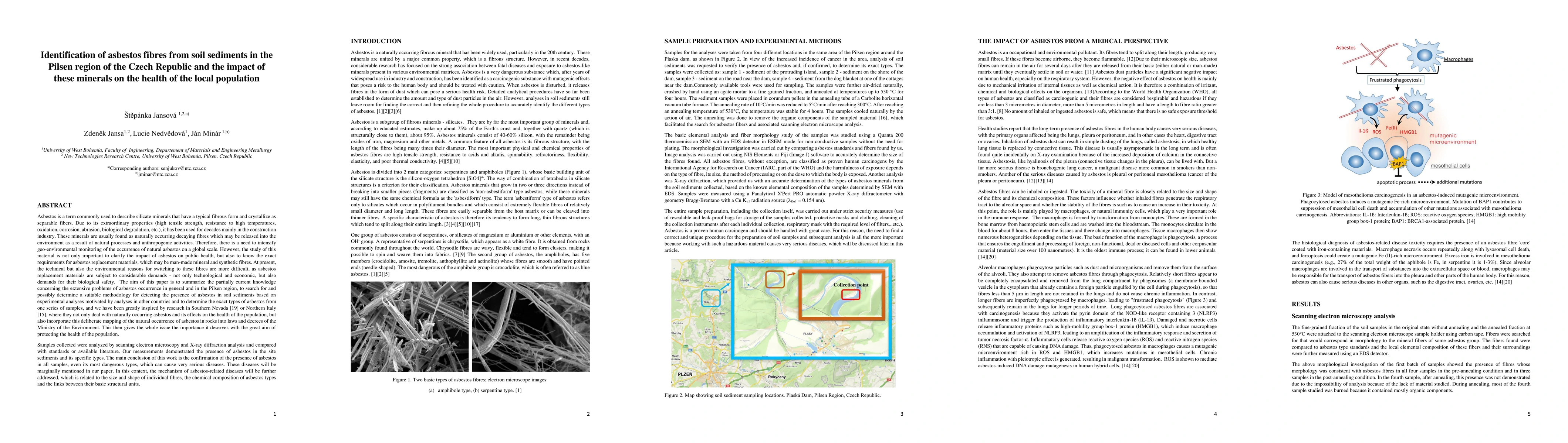 Thumbnail for Identification of asbestos fibres from soil sediments in the Pilsen
  region of the Czech Republic and the impact of these minerals on the health
  of the local population