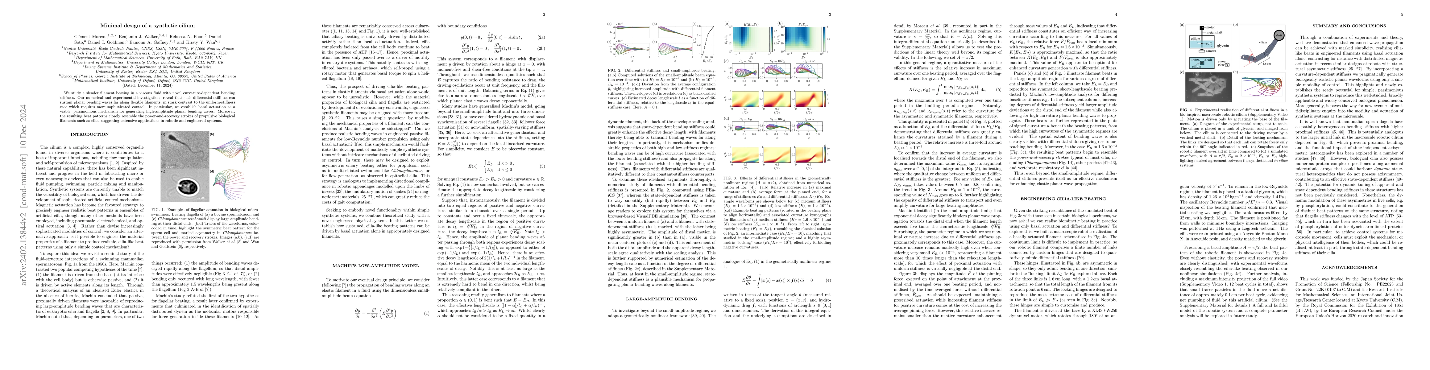 Thumbnail for State-dependent stiffness enhances wave propagation along elastic
  filaments