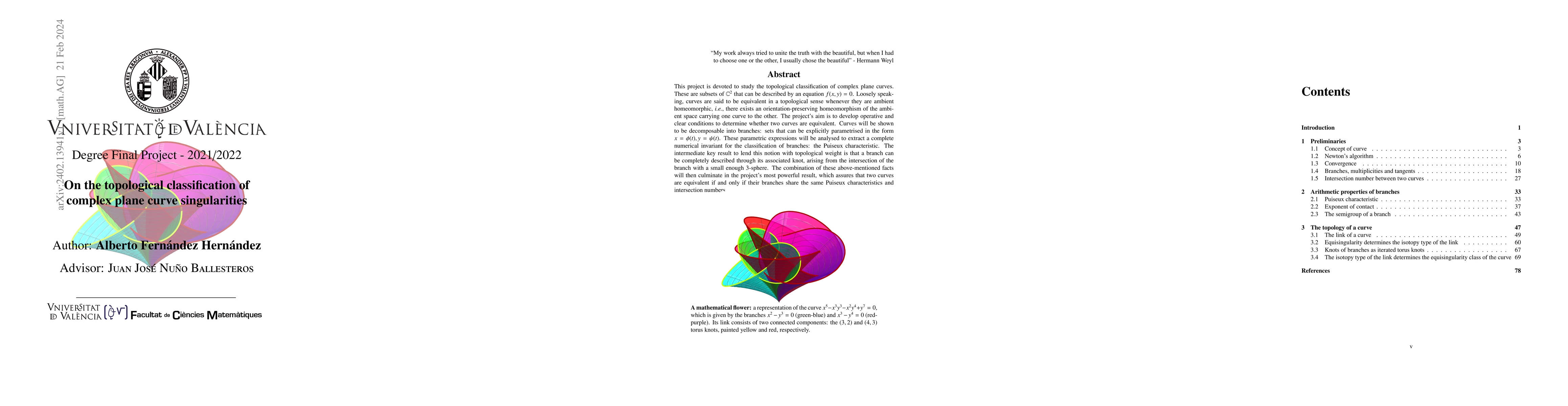 Thumbnail for On the topological classification of complex plane curve singularities