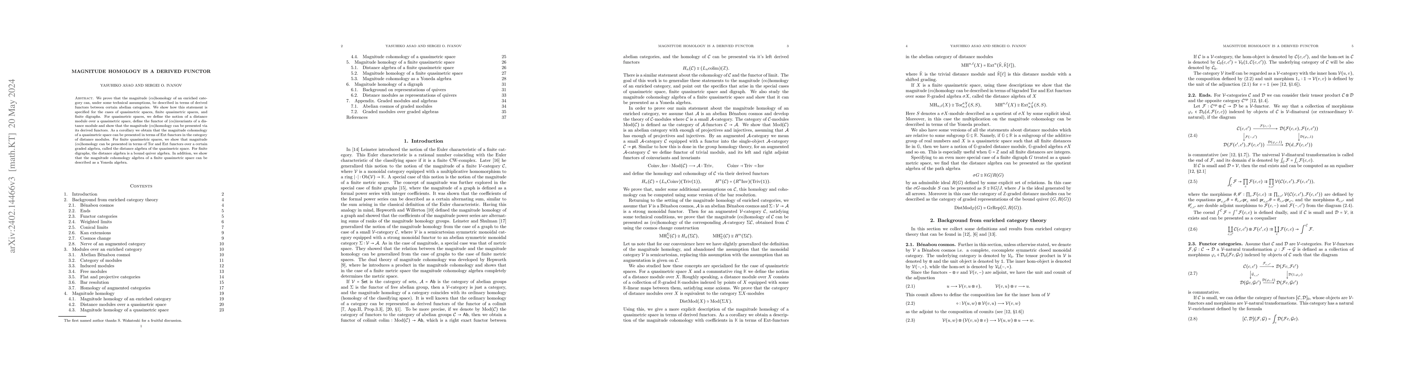 Thumbnail for Magnitude homology is a derived functor