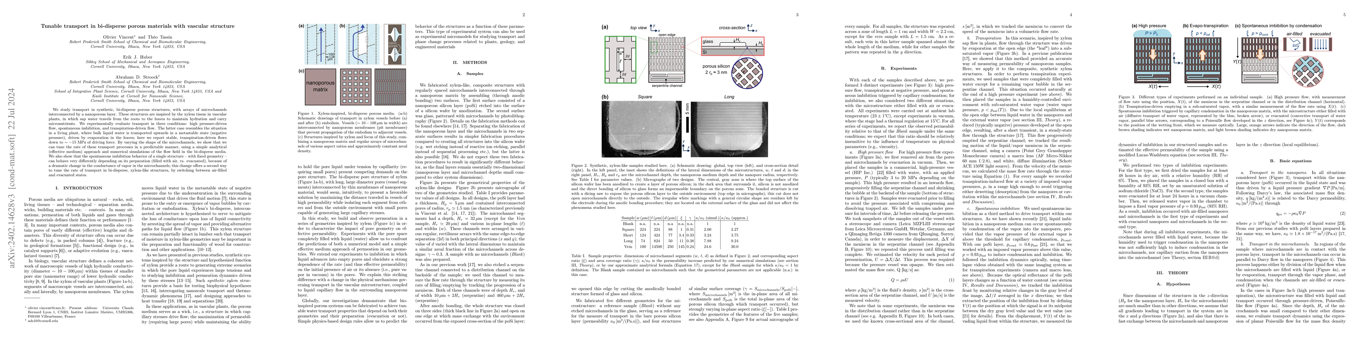 Thumbnail for Tunable transport in bi-disperse porous materials with vascular
  structure