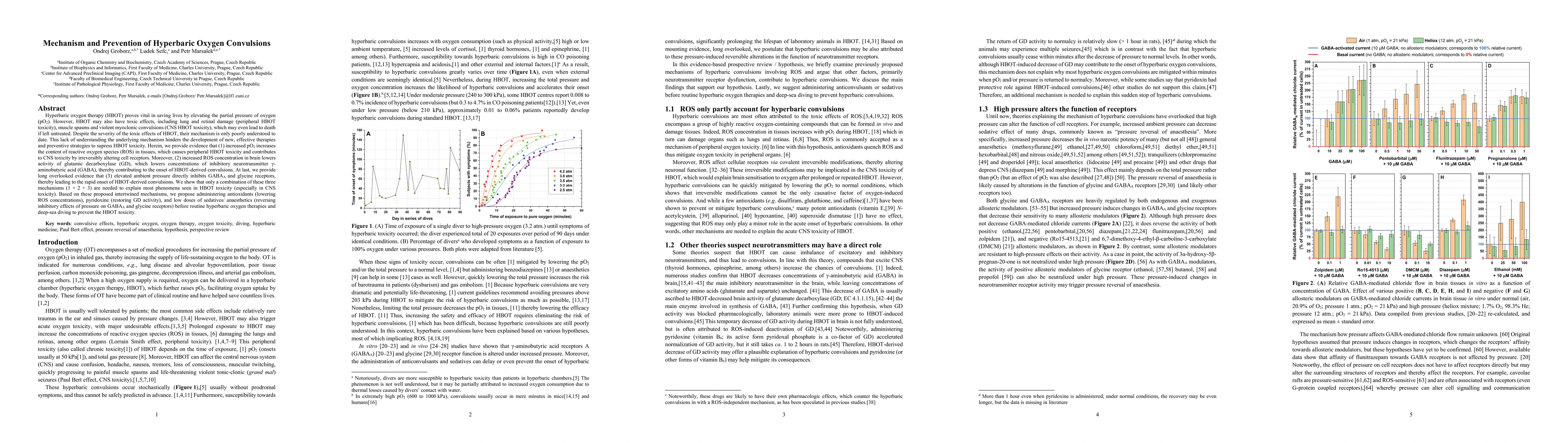 Thumbnail for Mechanism and Prevention of Hyperbaric Oxygen Convulsions