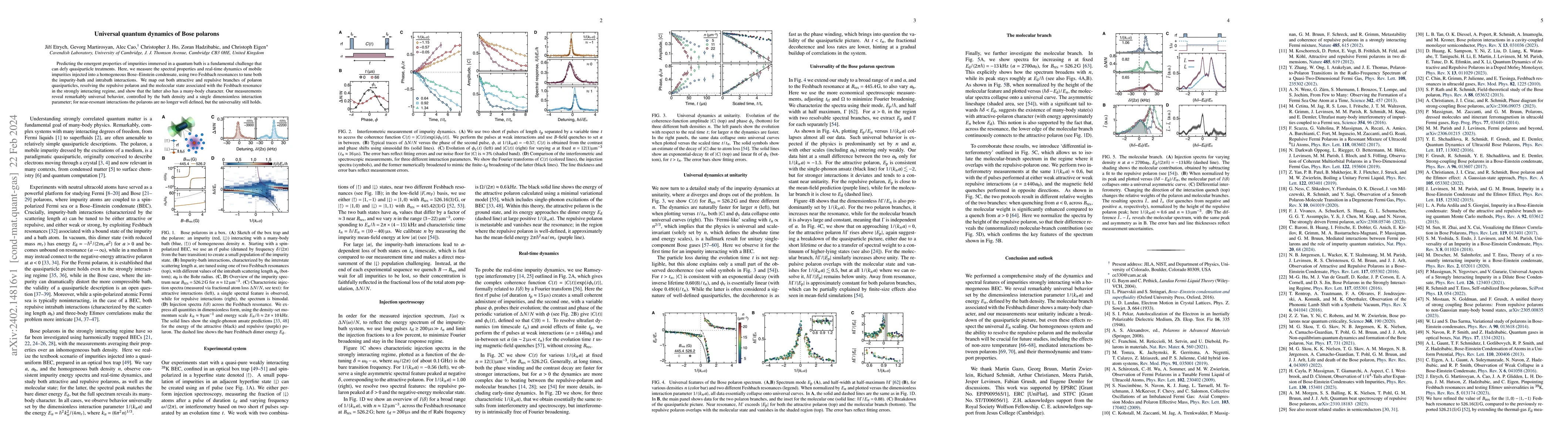 Thumbnail for Universal quantum dynamics of Bose polarons