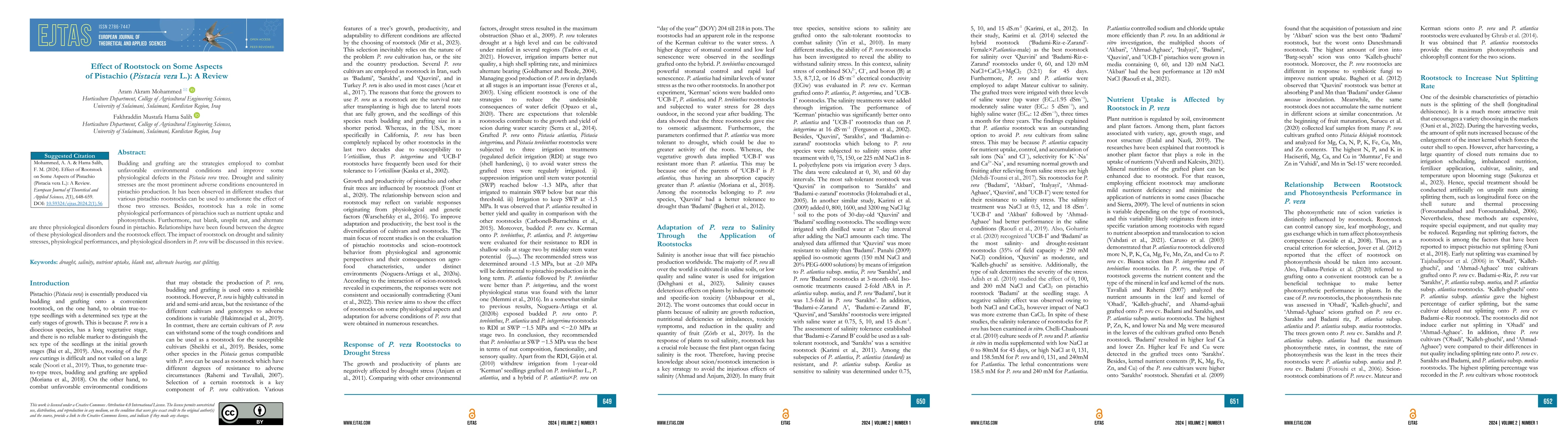 Thumbnail for Effect of Rootstock on Some Aspects of Pistachio (Pistacia vera L.): A
  Review