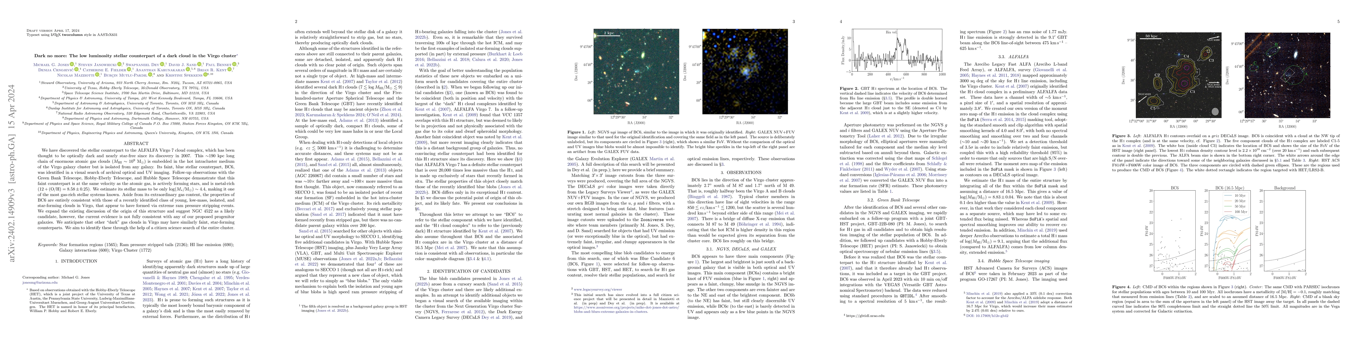 Thumbnail for Dark no more: The low luminosity stellar counterpart of a dark cloud in
  the Virgo cluster