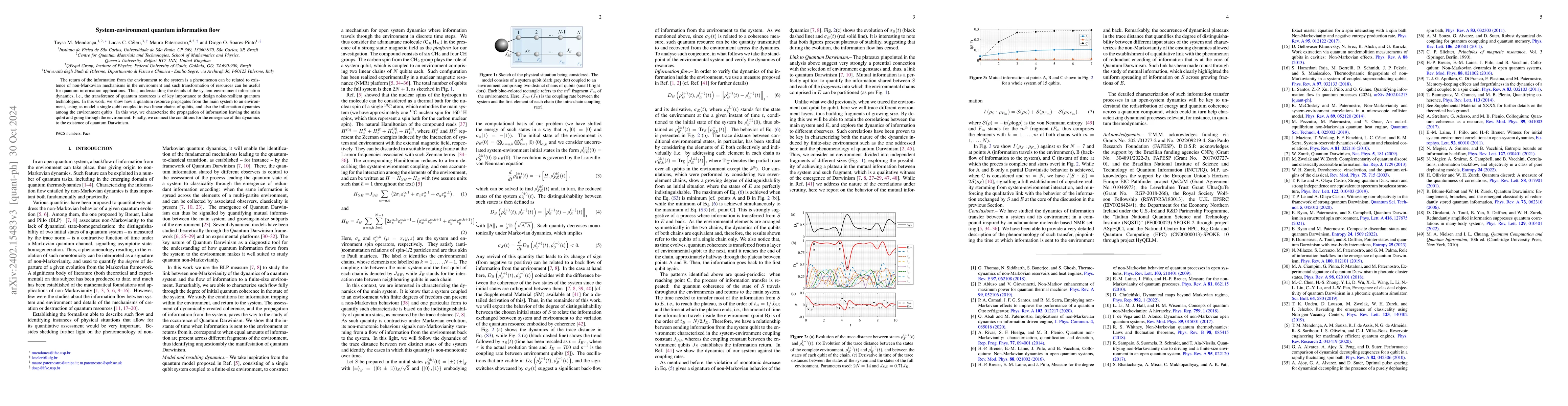 Thumbnail for System-environment quantum information flow