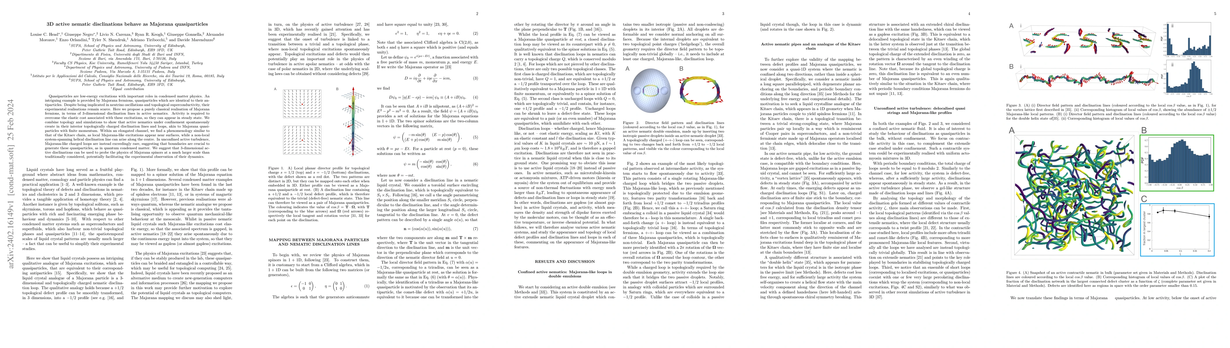 Thumbnail for 3D active nematic disclinations behave as Majorana quasiparticles