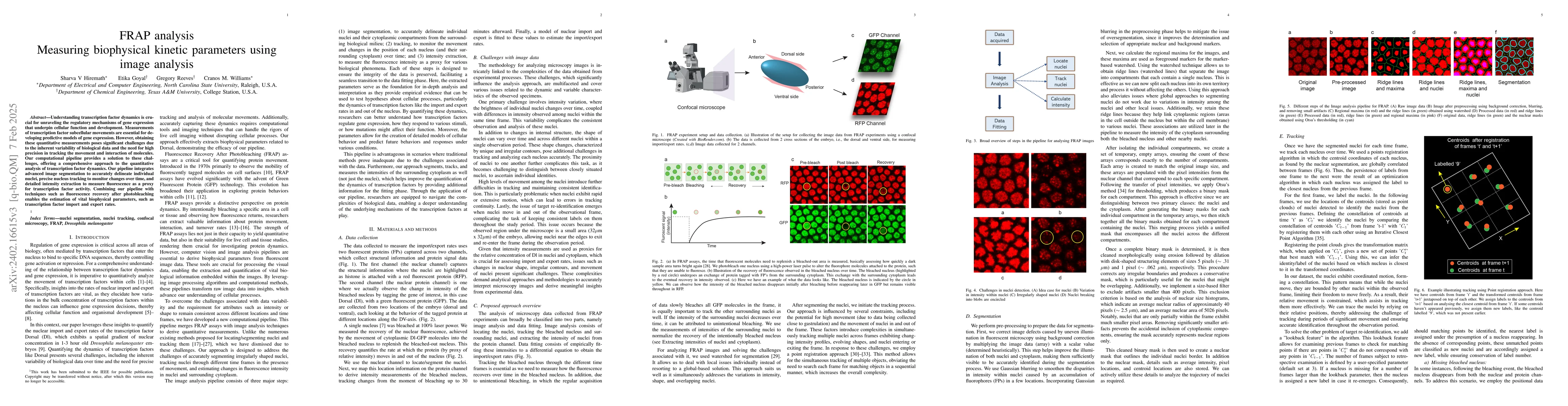 Thumbnail for FRAP analysis Measuring biophysical kinetic parameters using image
  analysis
