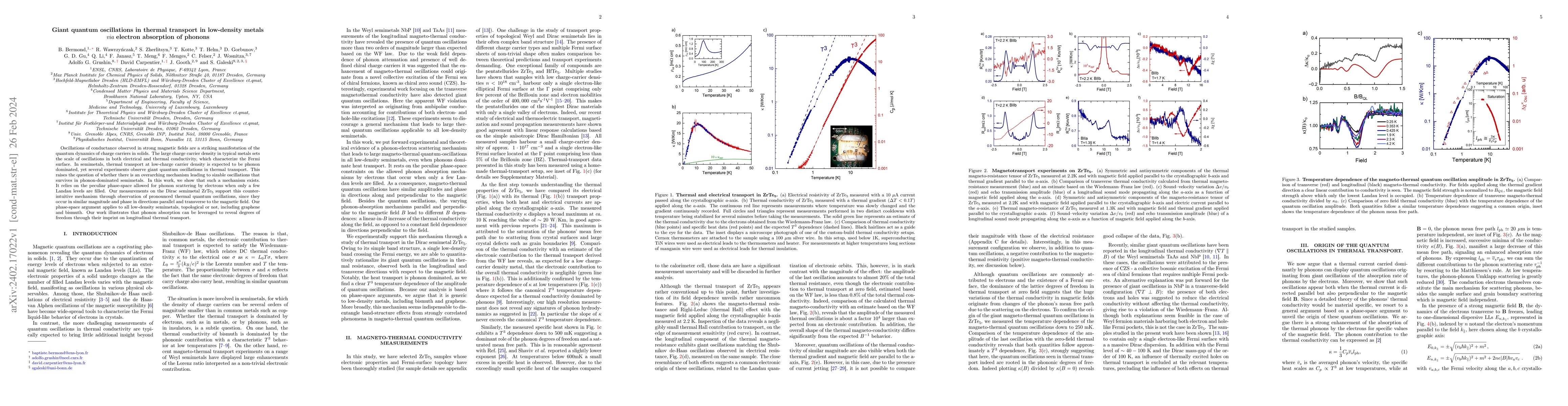 Thumbnail for Giant quantum oscillations in thermal transport in low-density metals
  via electron absorption of phonons
