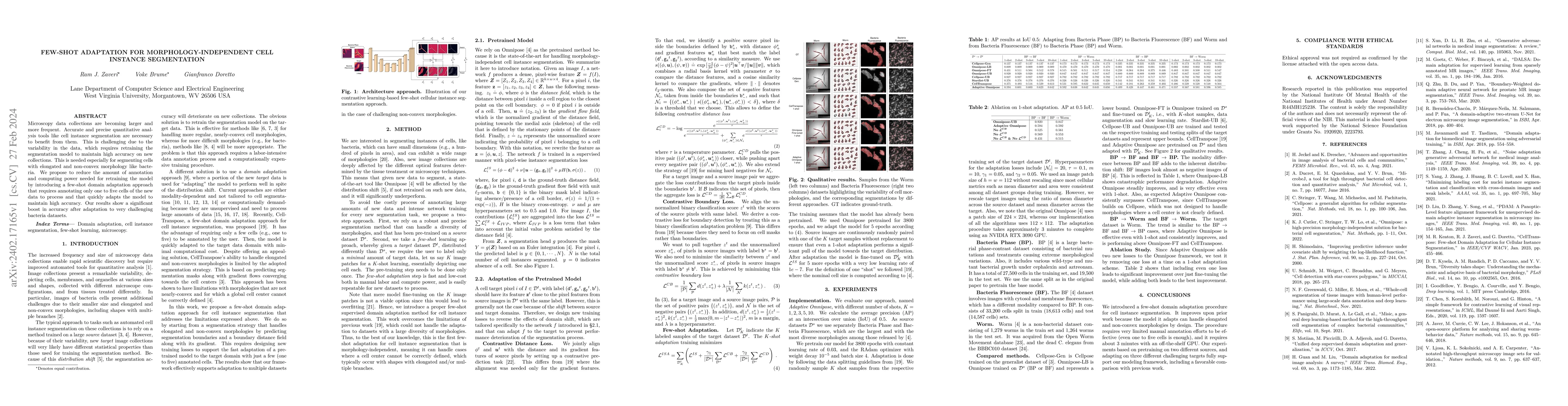 Thumbnail for Few-shot adaptation for morphology-independent cell instance
  segmentation