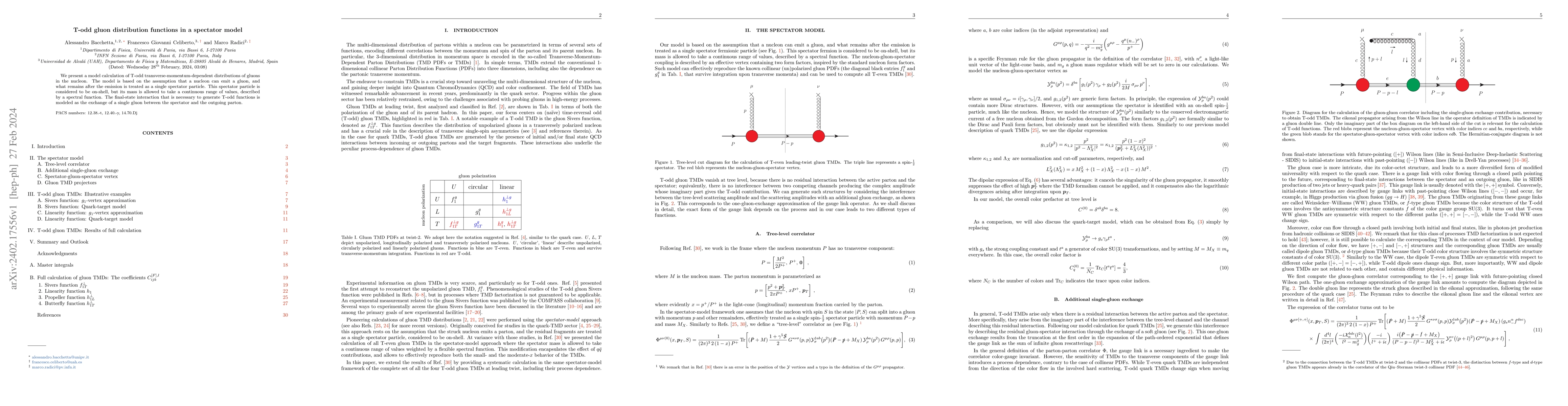 Thumbnail for T-odd gluon distribution functions in a spectator model