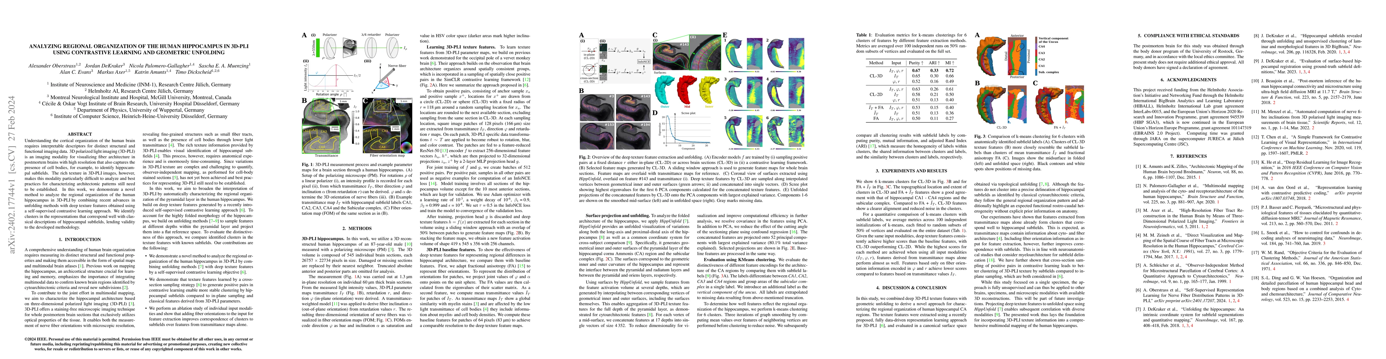Thumbnail for Analyzing Regional Organization of the Human Hippocampus in 3D-PLI Using
  Contrastive Learning and Geometric Unfolding