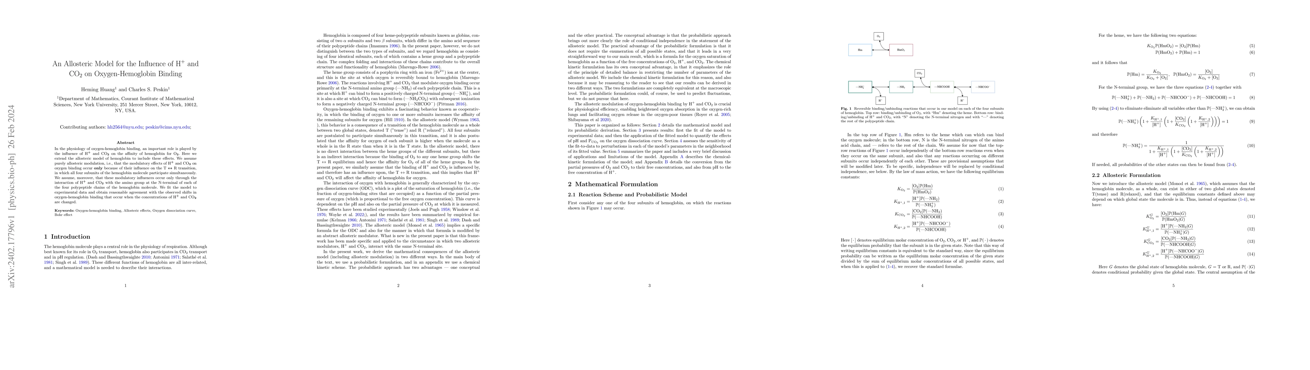 Thumbnail for An Allosteric Model for the Influence of $\text{H}^+$ and $\text{CO}_2$
  on Oxygen-Hemoglobin Binding