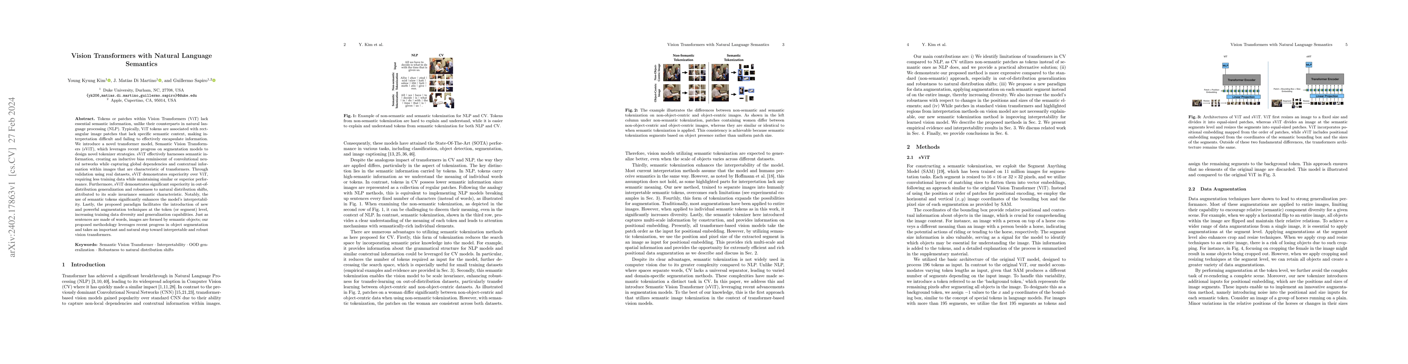 Thumbnail for Vision Transformers with Natural Language Semantics