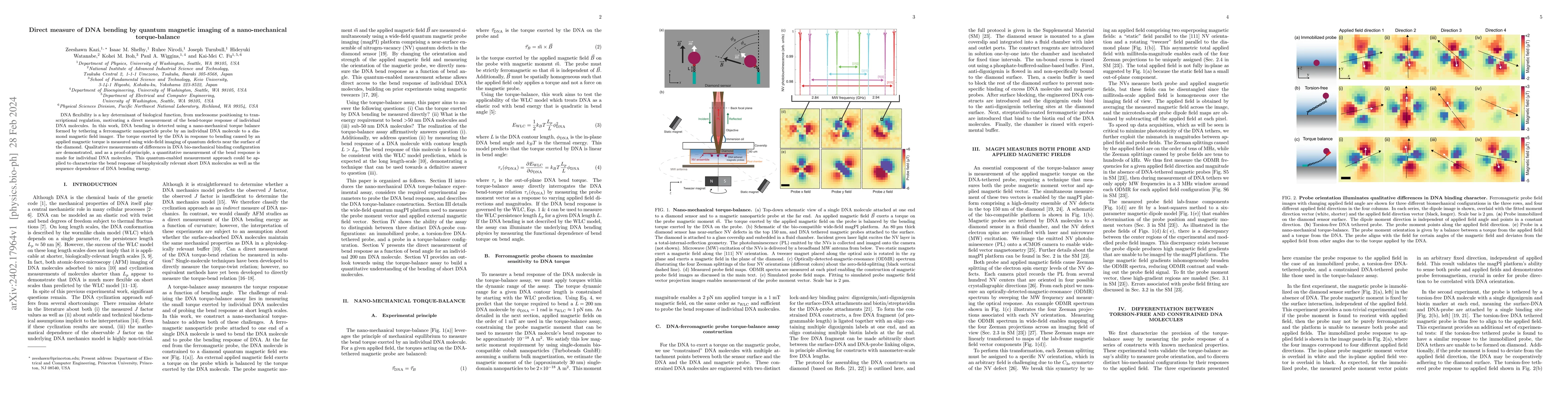 Thumbnail for Direct measure of DNA bending by quantum magnetic imaging of a
  nano-mechanical torque-balance