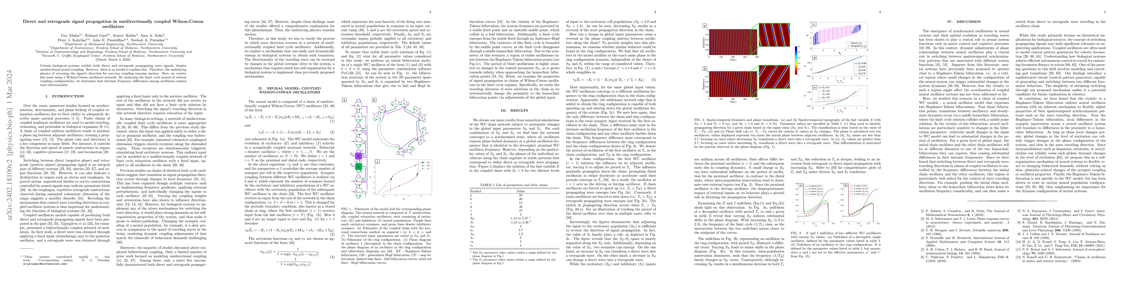 Thumbnail for Direct and retrograde signal propagation in unidirectionally coupled
  Wilson-Cowan oscillators