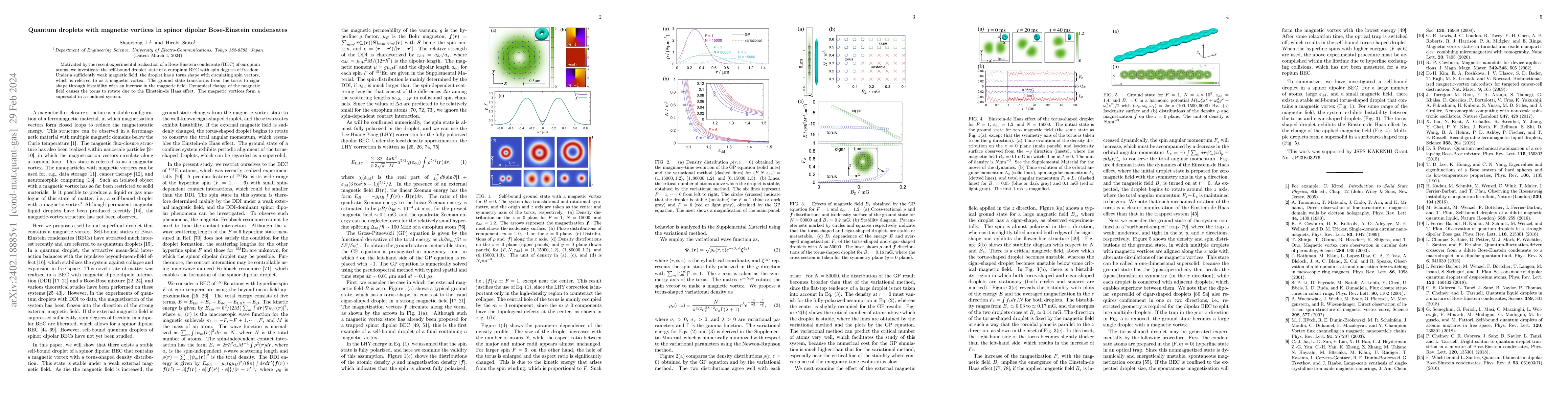 Thumbnail for Quantum droplets with magnetic vortices in spinor dipolar Bose-Einstein
  condensates
