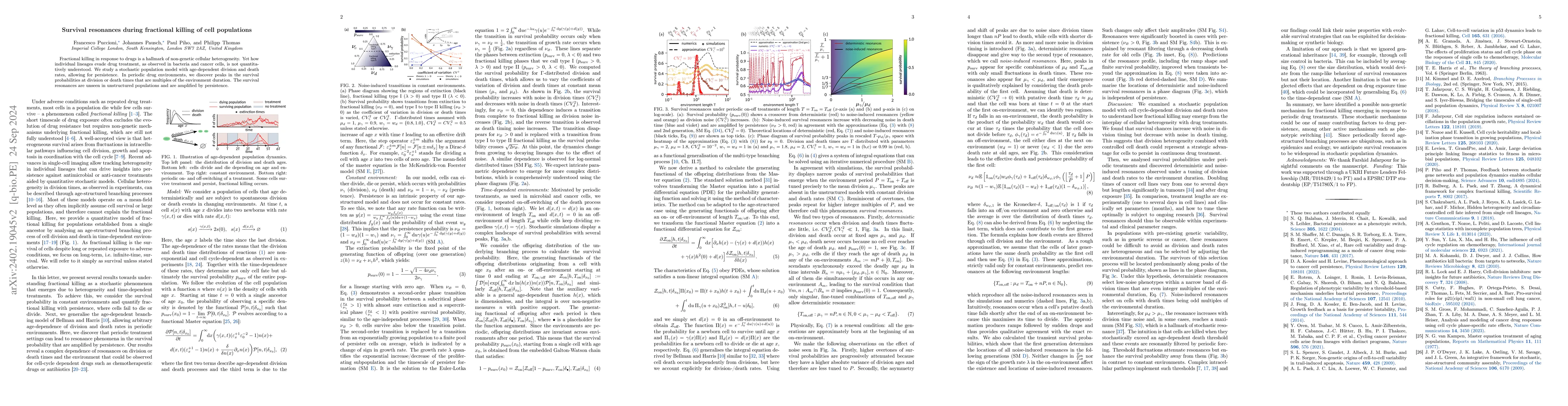 Thumbnail for Noise-induced survival resonances during fractional killing of cell
  populations